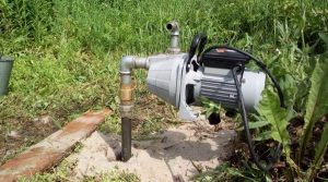 абиссинский колодец